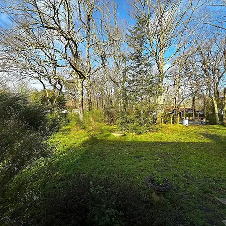 Maison Dans La Foret *