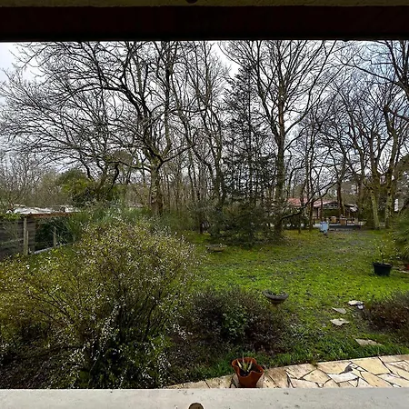 Maison Dans La Foret *