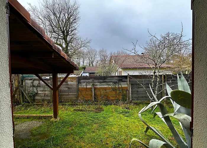 Maison Dans La Foret *