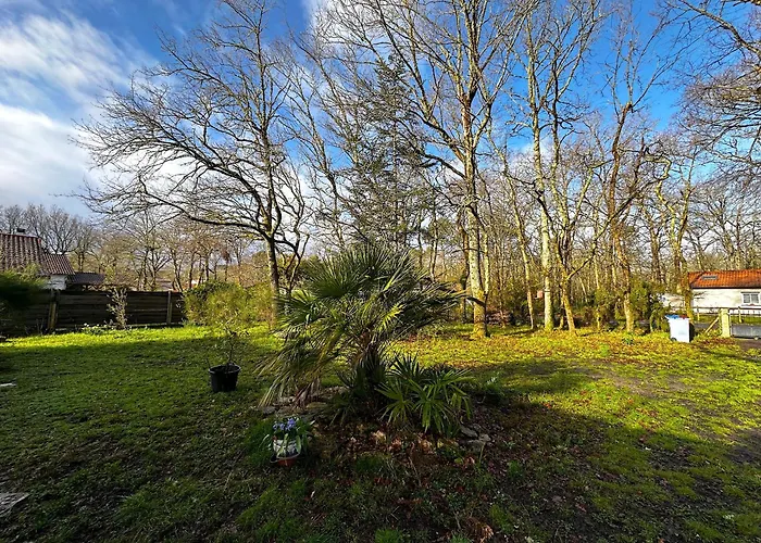 Maison Dans La Foret Gujan-Mestras