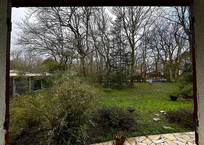 Maison Dans La Foret *