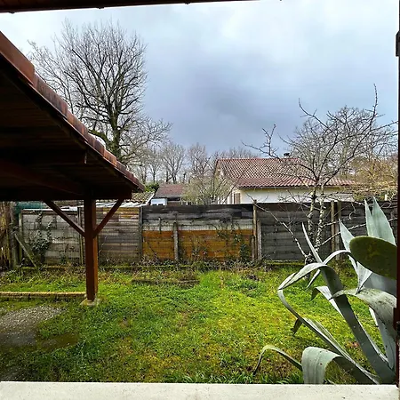 Maison Dans La Foret *