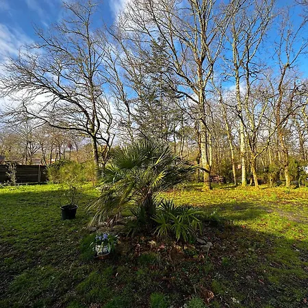 Maison Dans La Foret Gujan-Mestras