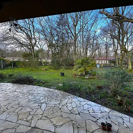 Maison Dans La Foret Holiday home