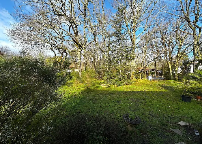 Maison Dans La Foret *